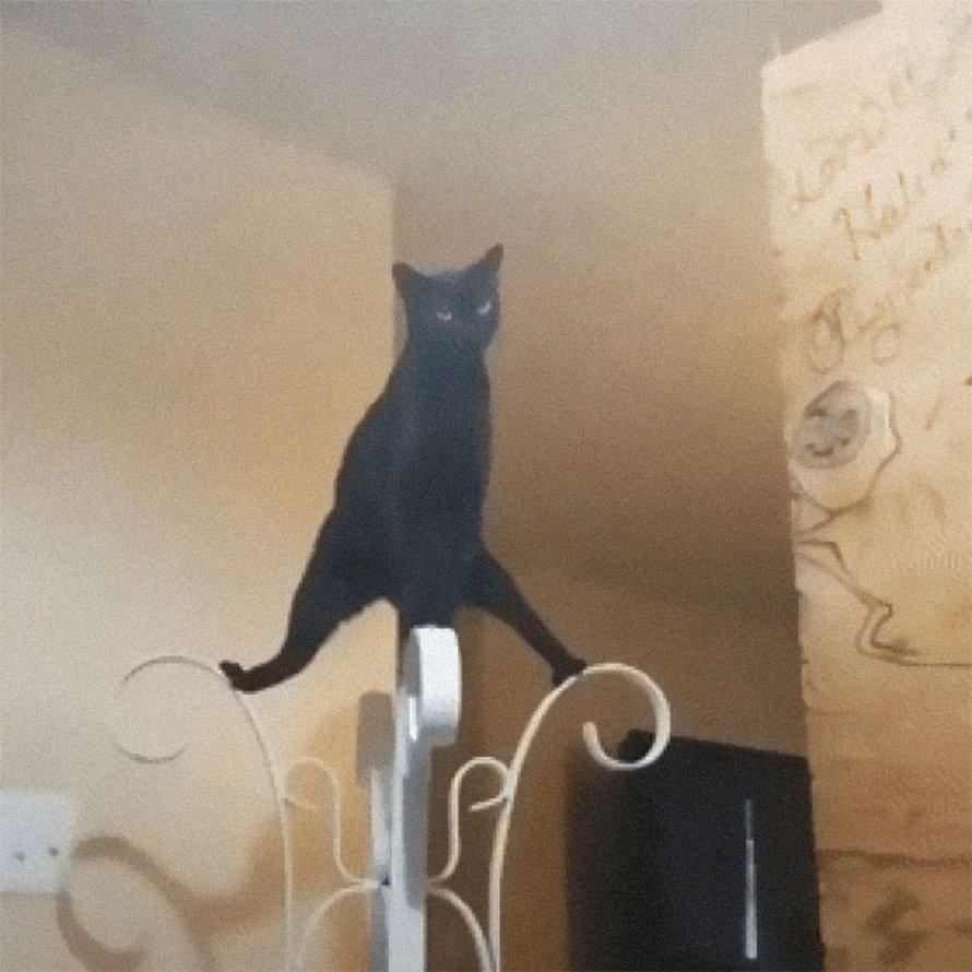 Des gens publient des photos de leurs chats « défectueux » et voici les 22 plus drôles