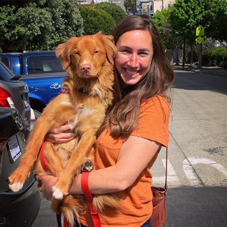 Ce gentil chien se lie d’amitié avec tous les papillons qui vivent dans son jardin