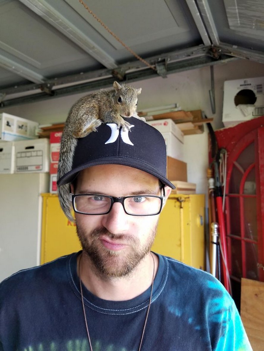 22 photos avec des commentaires drôles qui nous rappellent que les écureuils sont formidables