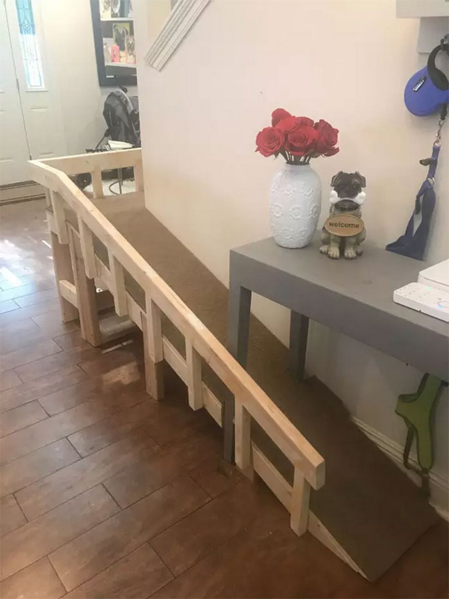Une propriétaire de chiens construit un monte-escalier pour ses trois carlins âgés et les gens trouvent cela adorable