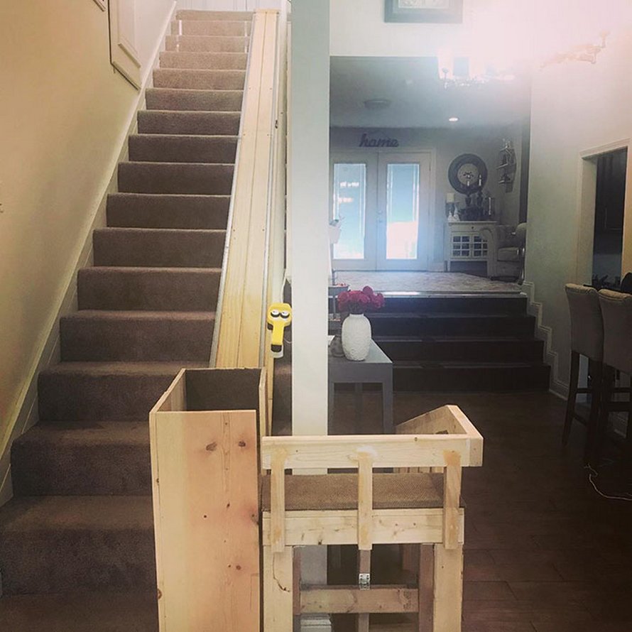 Une propriétaire de chiens construit un monte-escalier pour ses trois carlins âgés et les gens trouvent cela adorable