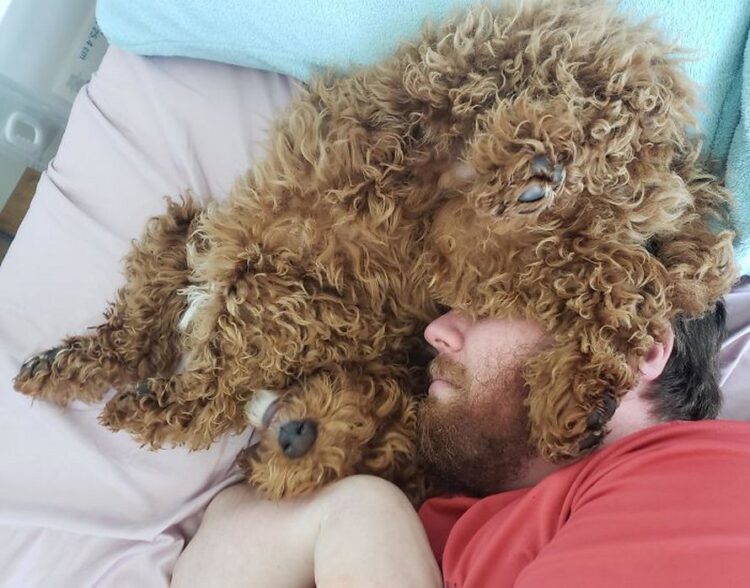 Mon Chien Boite Quand Il Se Réveille Ces pères ne voulaient pas d'animal de compagnie dans leur vie - ipnoze
