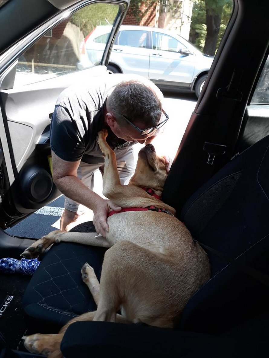 Ces pères ne voulaient pas d’animaux de compagnie dans leur vie