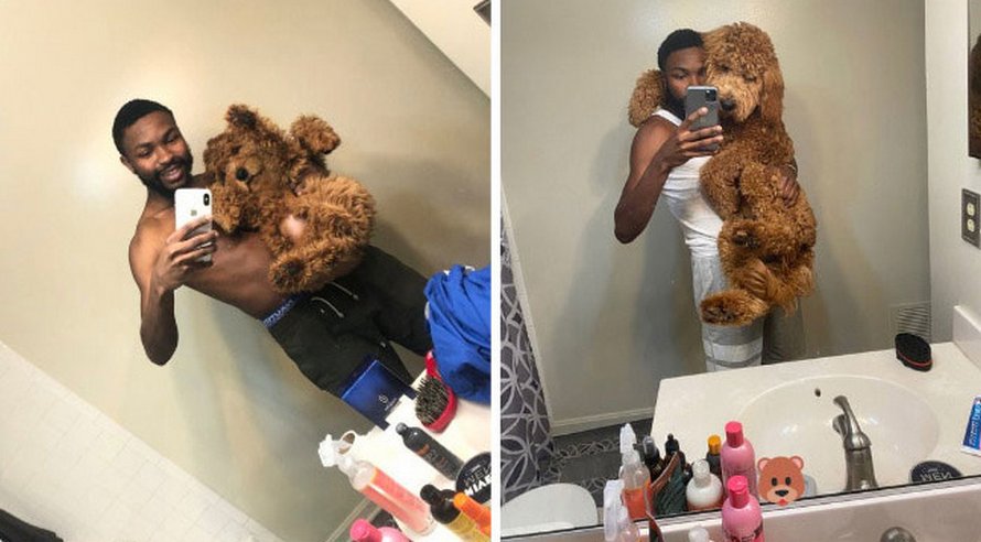 Des gens publient des photos de leurs chiens prises lorsqu’ils étaient de petits chiots et maintenant qu’ils ont grandi