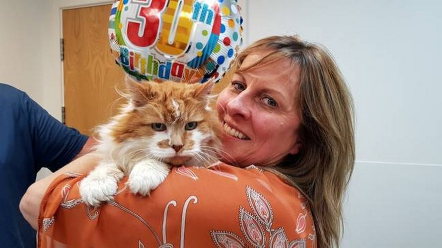 Le Plus Vieux Chat Du Monde Est Mort A L Age De 31 Ans Ipnoze Le Plus Vieux Chat Du Monde Est Mort A L Age De 31 Ans Ipnoze