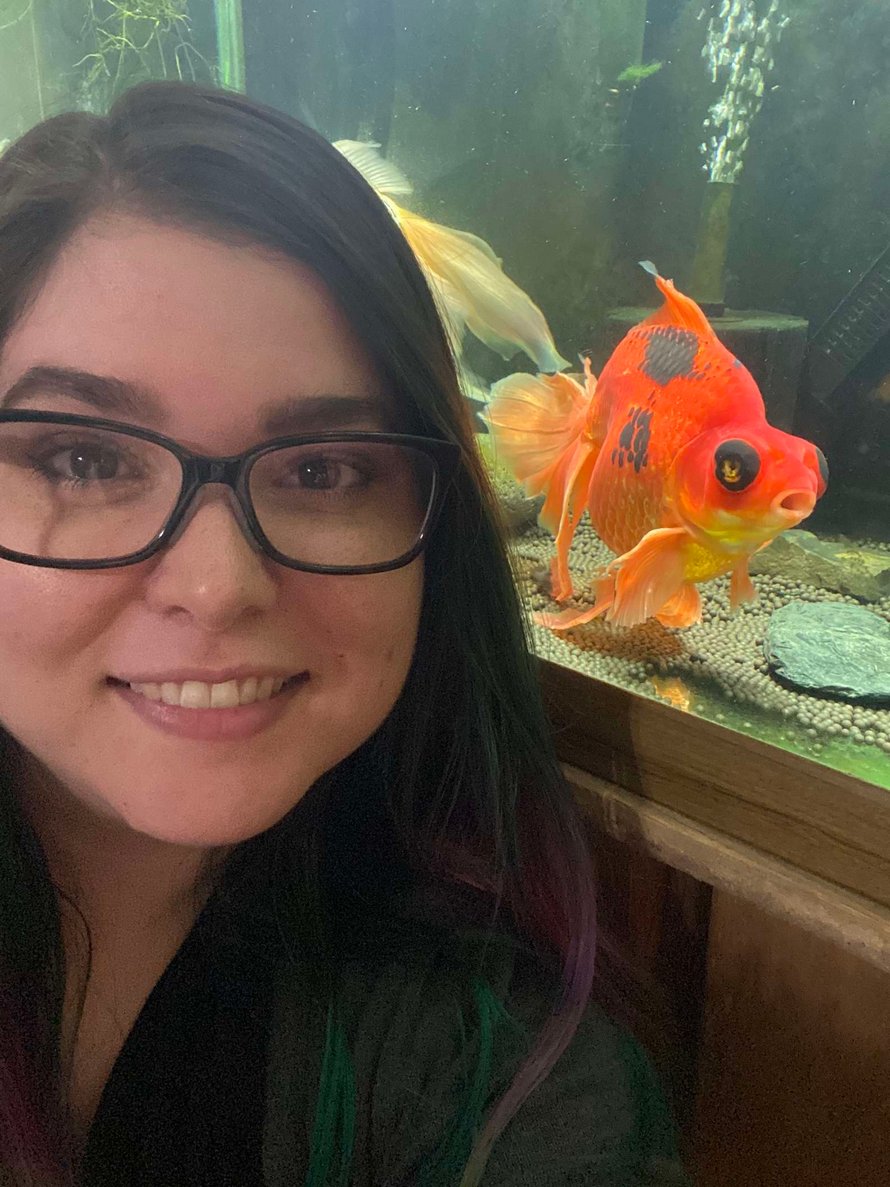 Un poisson rouge de 10 ans, négligé et mourant, a été retourné à une animalerie, alors cette personne a décidé de le soigner