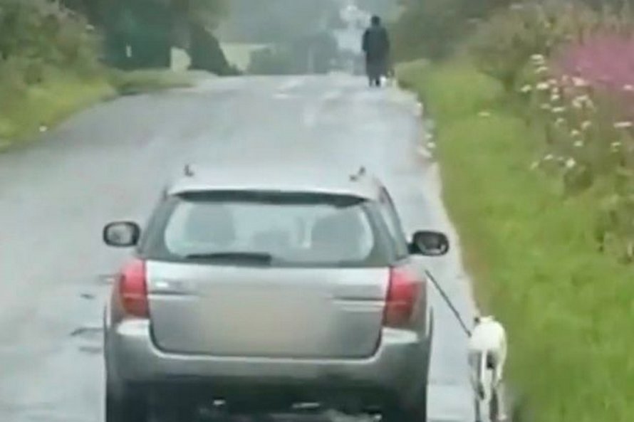 La police recherche un propriétaire de chien cruel qui a fait courir son animal à côté de sa voiture