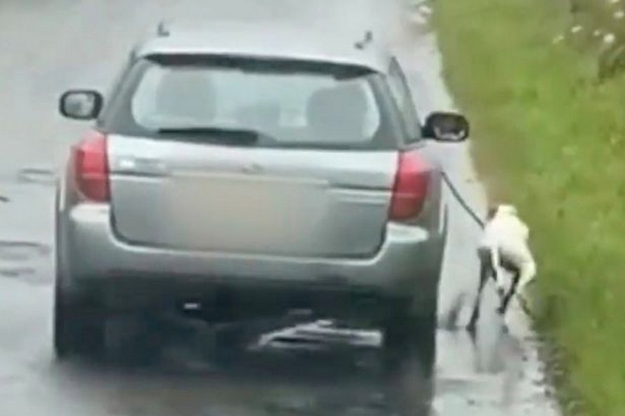 La police recherche un propriétaire de chien cruel qui a fait courir son animal à côté de sa voiture