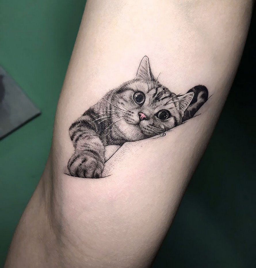 22 personnes qui ont obtenu les tatouages de chats les plus originaux