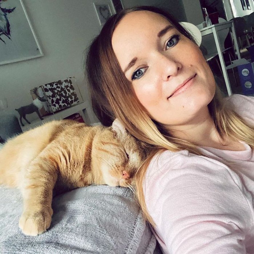 Apres Avoir Convaincu Son Proprietaire Une Femme Ramene Le Plus Triste Des Chats Errants Chez Elle Et Un An Plus Tard Il Est Meconnaissable Ipnoze
