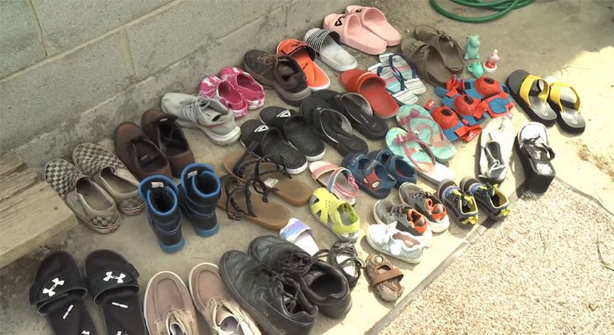 https://www.ipnoze.com/wordpress/wp-content/uploads/2020/08/chat-vole-chaussures-jordan-008.jpg