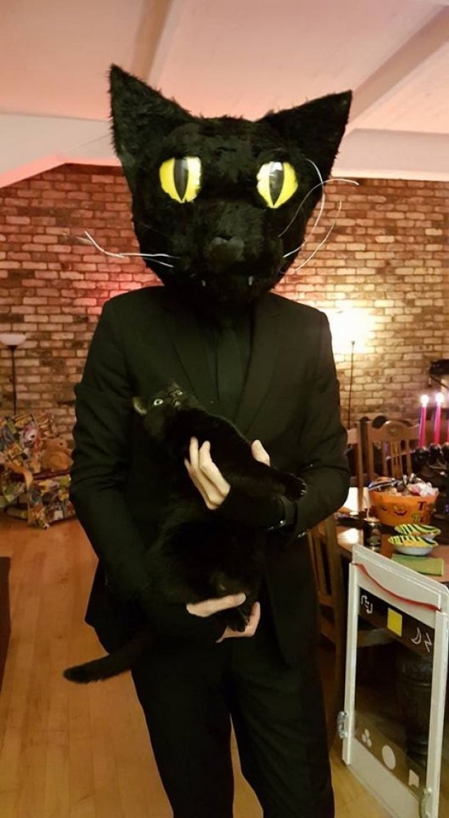 Ces chats mélodramatiques méritent un Oscar