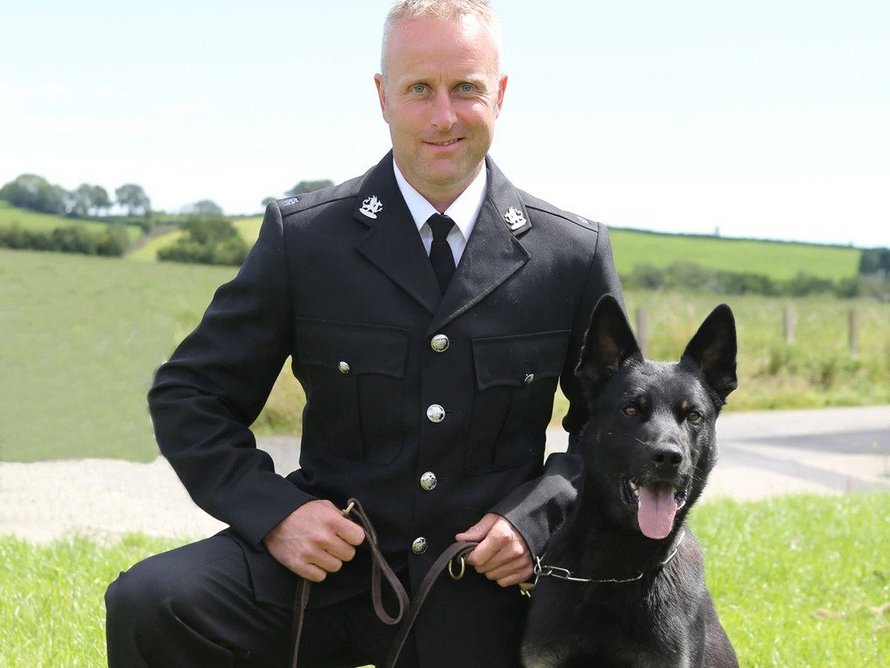 Un chien policier retrouve une mère et son bébé disparus lors de son premier jour de travail