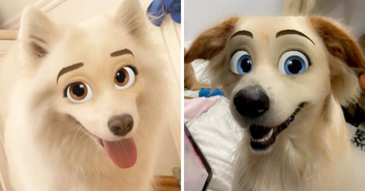 Ce nouveau filtre Snapchat transforme votre chien en personnage Disney