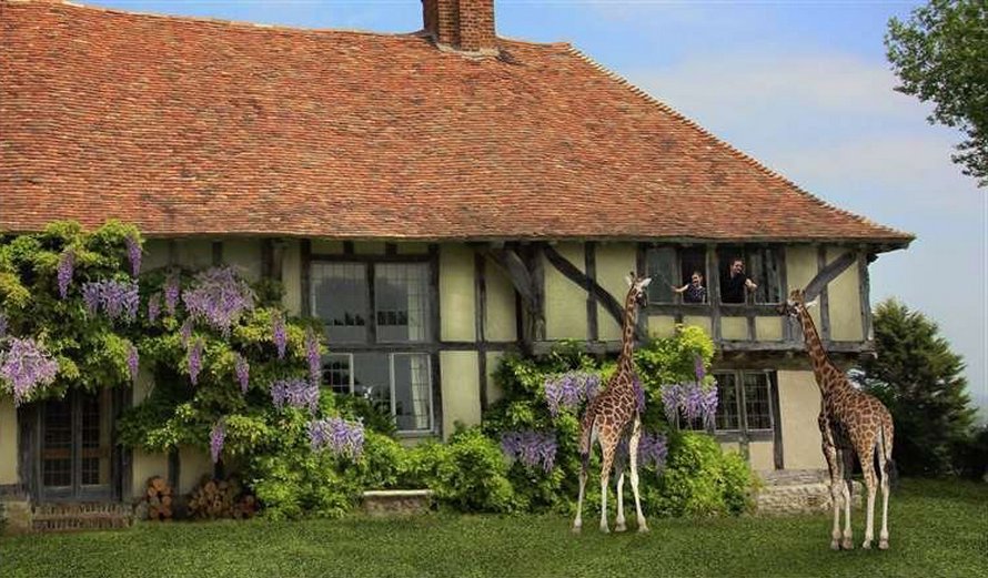 Un nouvel hôtel où tu peux dîner avec des girafes et d’autres animaux ouvrira ses portes en Angleterre