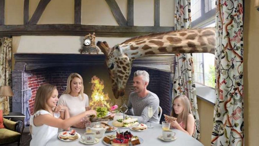 Un nouvel hôtel où tu peux dîner avec des girafes et d’autres animaux ouvrira ses portes en Angleterre