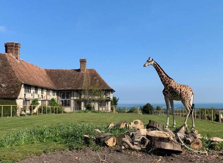 Un nouvel hôtel où tu peux dîner avec des girafes et d’autres animaux ouvrira ses portes en Angleterre