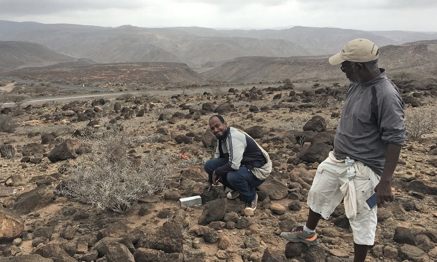 Ces minuscules musaraignes-éléphants disparues depuis 50 ans sont réapparues en Afrique de l’Est