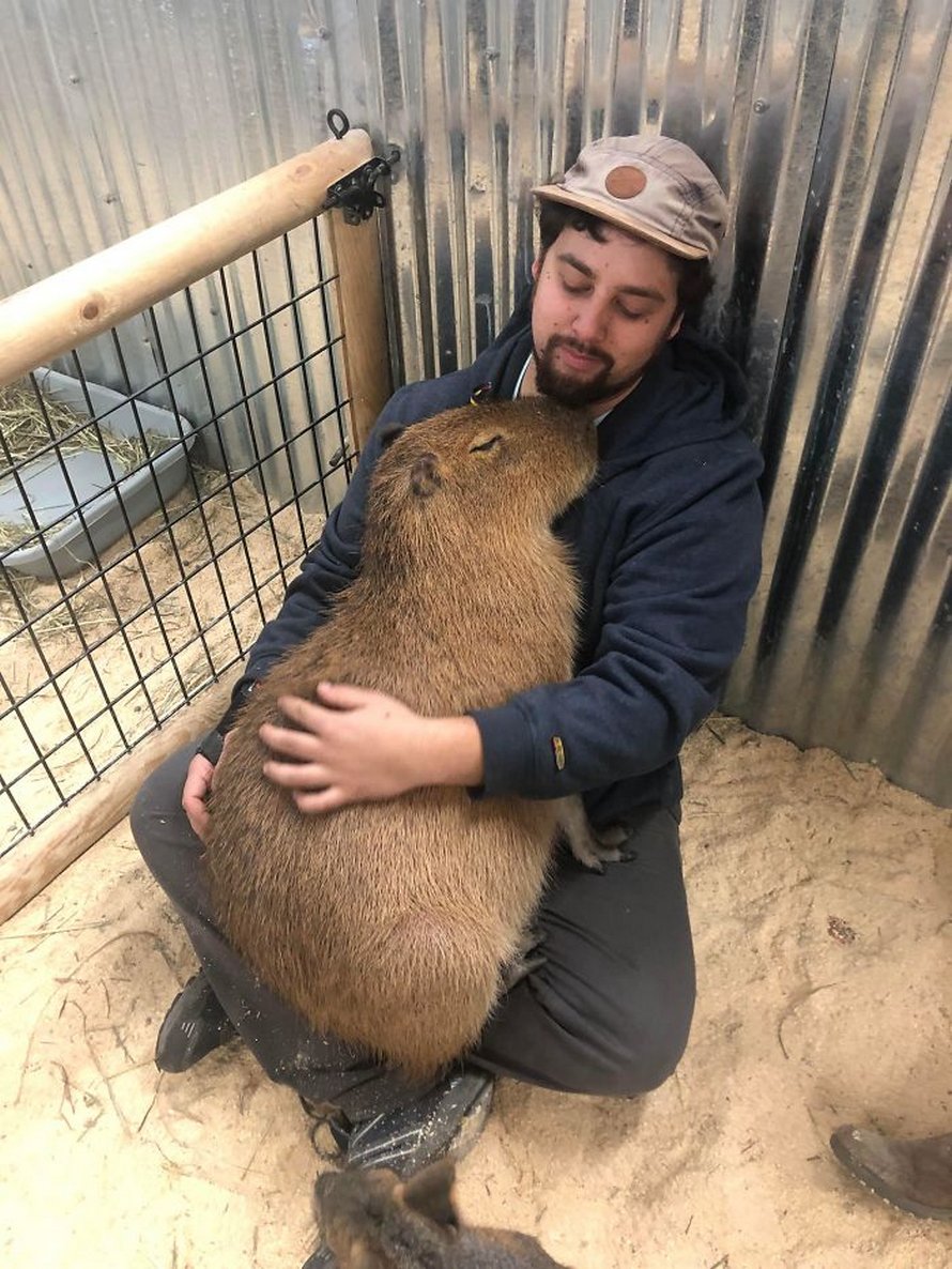 23 photos d’animaux avec des messages rigolos qui vont te faire sourire
