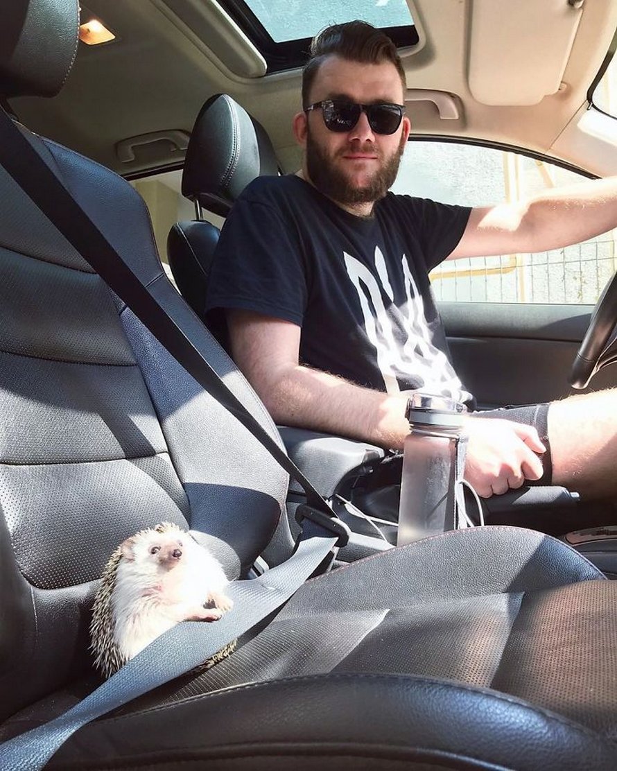 23 photos d’animaux avec des messages rigolos qui vont te faire sourire
