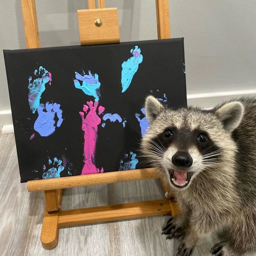 De fiers ratons laveurs artistes posent à côté de leurs peintures et ils ont l’air si heureux
