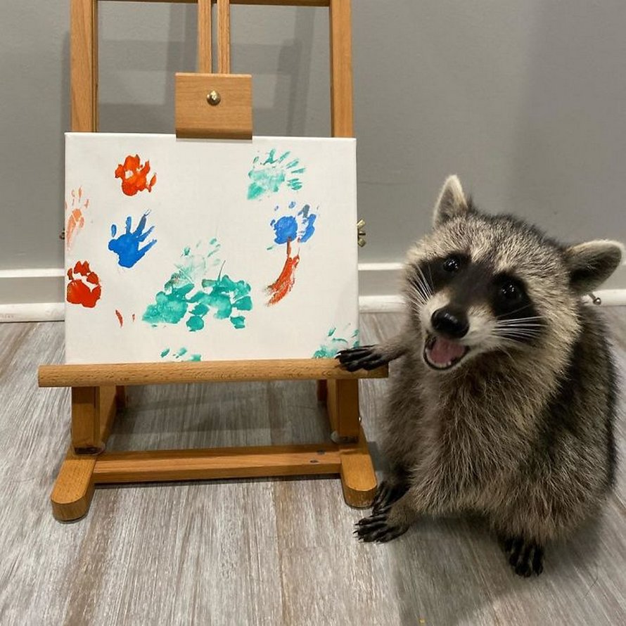 De fiers ratons laveurs artistes posent à côté de leurs peintures et ils ont l’air si heureux