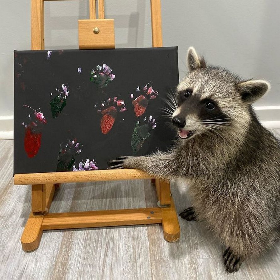 De fiers ratons laveurs artistes posent à côté de leurs peintures et ils ont l’air si heureux