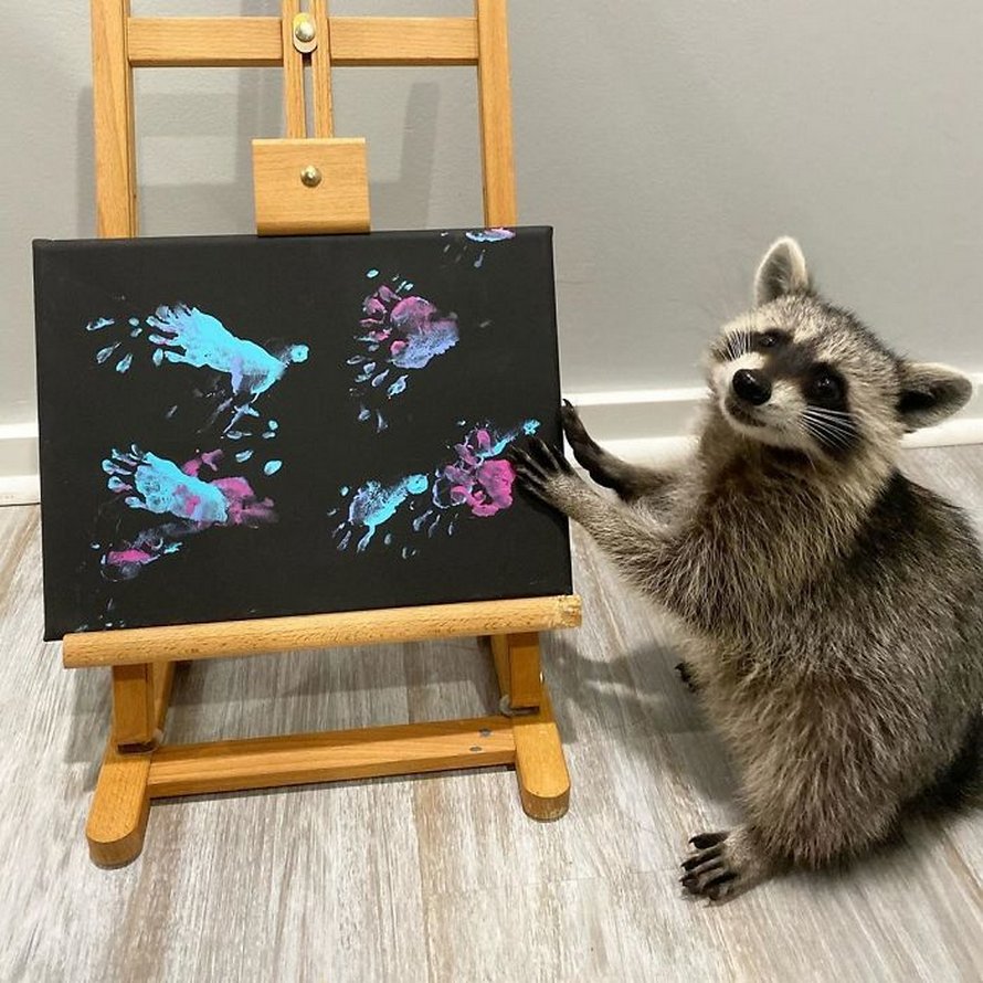 De fiers ratons laveurs artistes posent à côté de leurs peintures et ils ont l’air si heureux