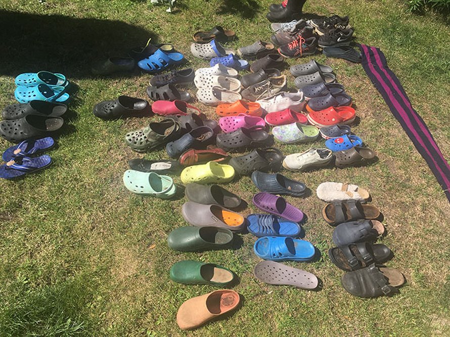 Un renard voleur de Crocs a été trouvé avec une collection de 100 chaussures volées à Berlin