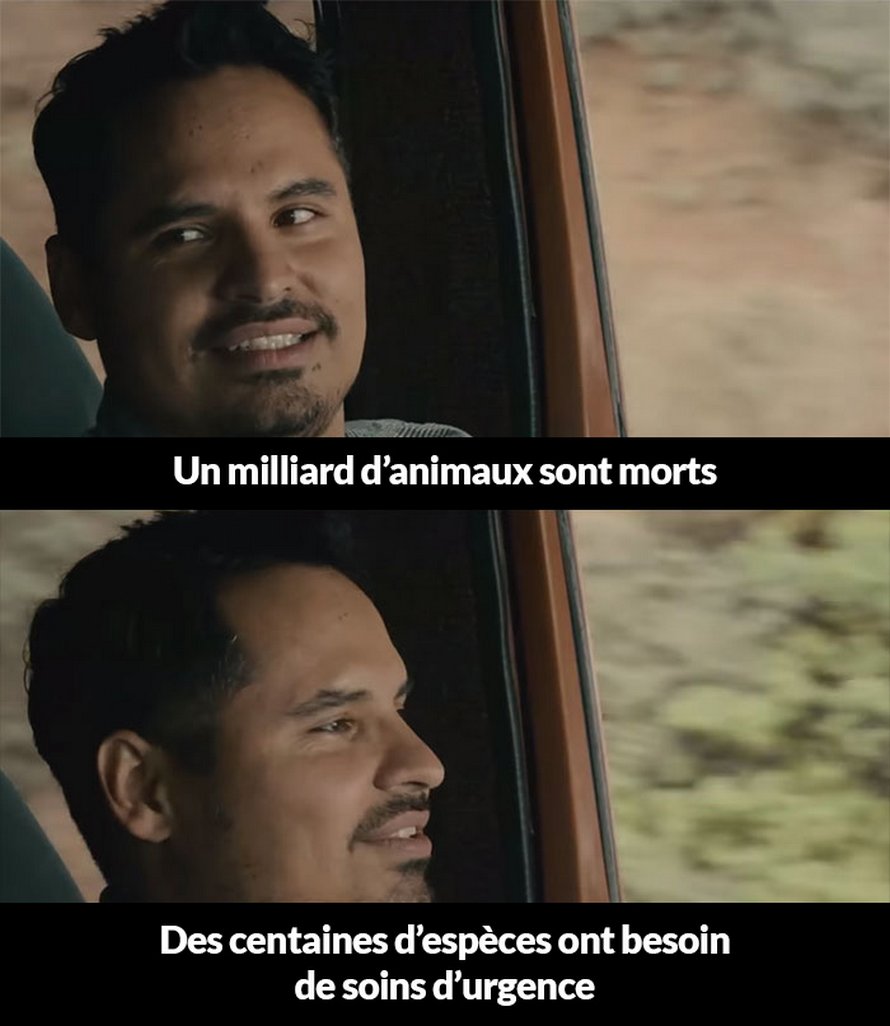 Voici un résumé de 2020 jusqu’à présent et c’est pénible à lire