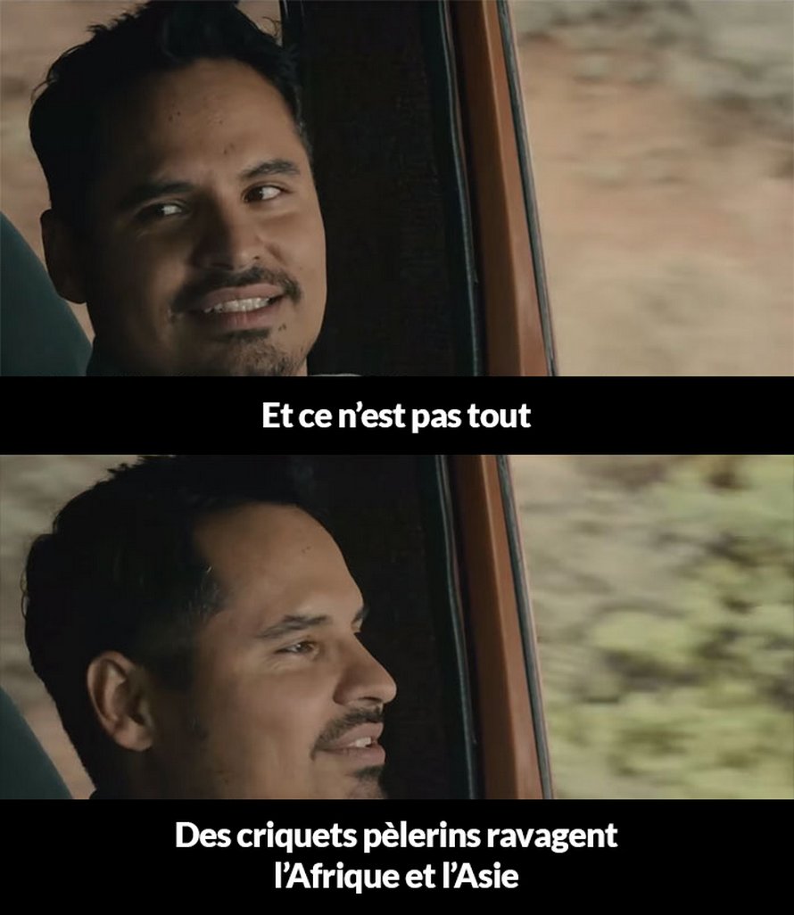 Voici un résumé de 2020 jusqu’à présent et c’est pénible à lire