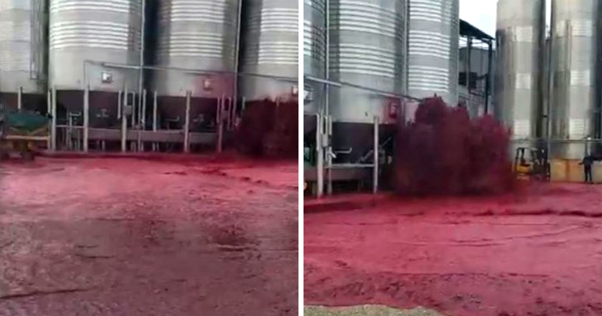 50 000 litres de vin rouge explosent de la cuve d’un domaine viticole