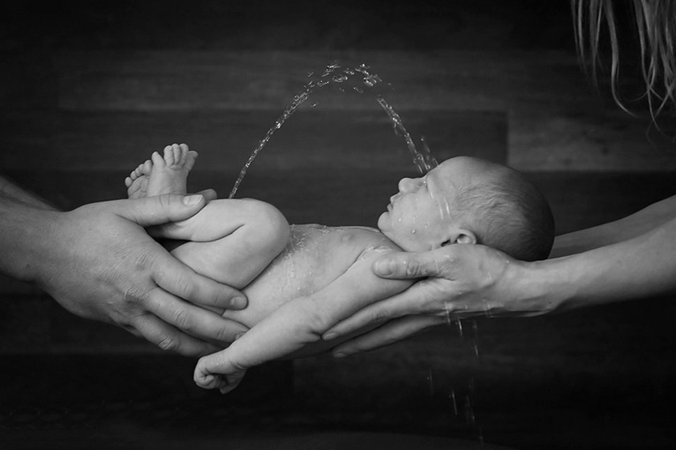 Ces Bebes Ont Ruine Le Shooting Photo Parfait De Leurs Parents Ipnoze