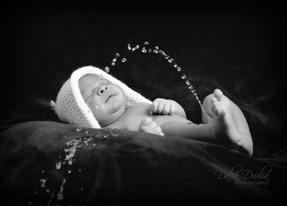 Ces Bebes Ont Ruine Le Shooting Photo Parfait De Leurs Parents Ipnoze