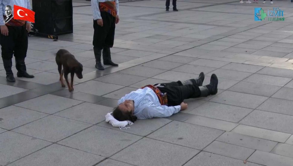 Un chien errant interrompt un spectacle pour aider un acteur qui fait semblant d’être blessé