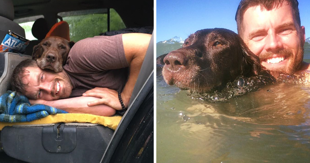 Après qu’une chienne a reçu un diagnostic de cancer, son propriétaire l’a emmenée faire un dernier voyage en voiture épique