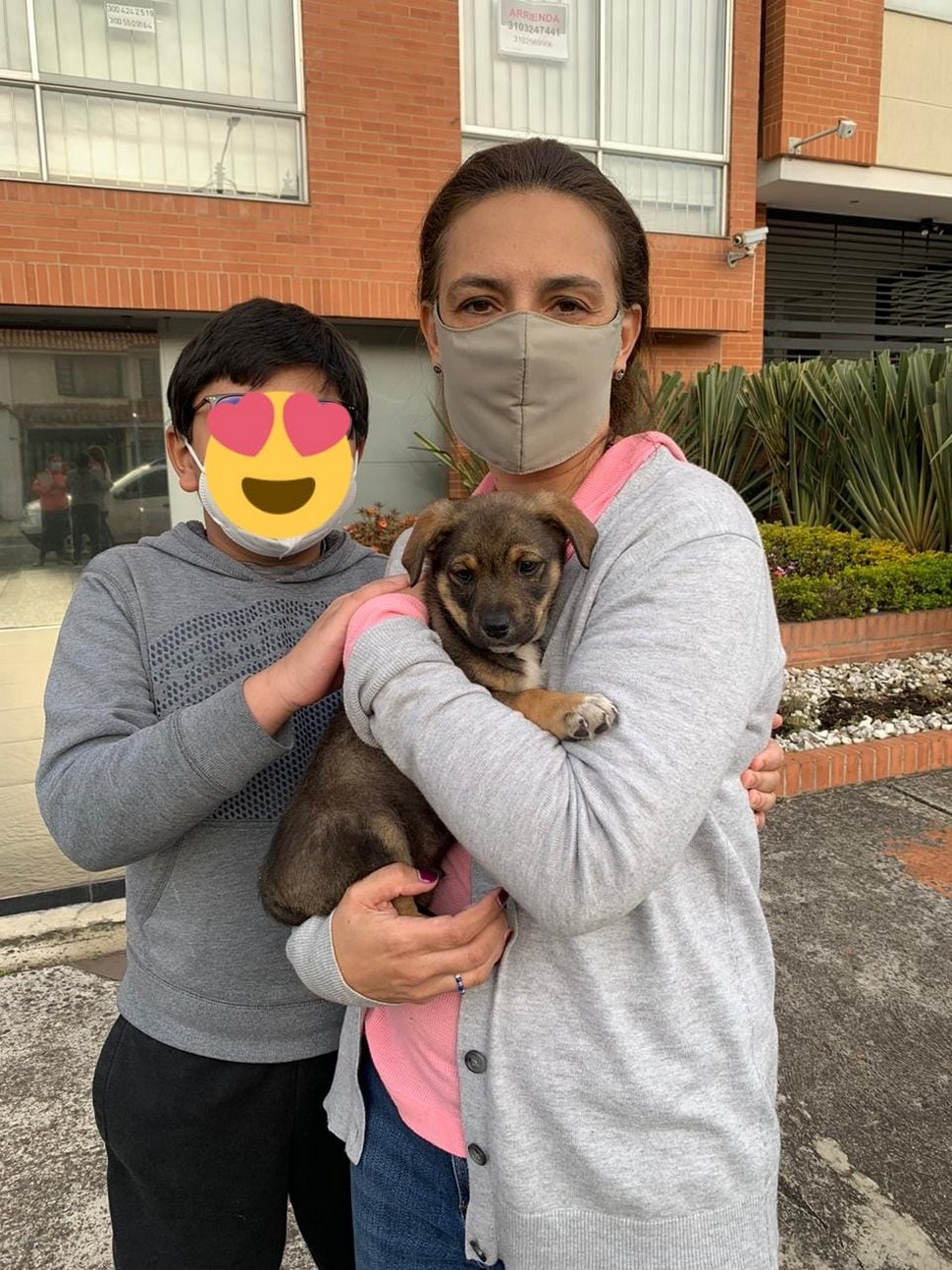 Des photos déchirantes montrent un chiot en smoking attendant ses nouveaux propriétaires qui ne se sont jamais présentés