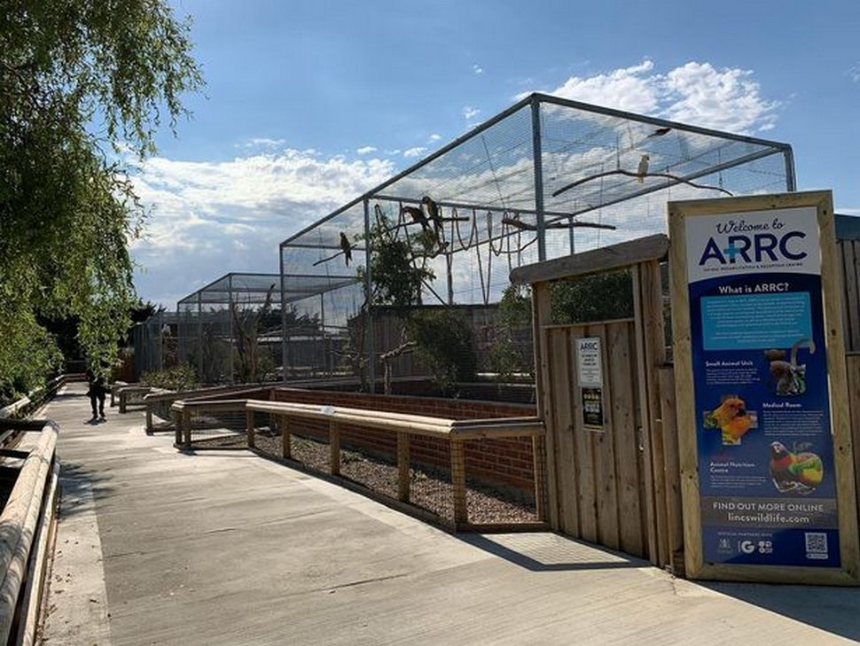 Des perroquets ont dû être retirés d’un parc animalier lorsqu’ils ont commencé à insulter les visiteurs