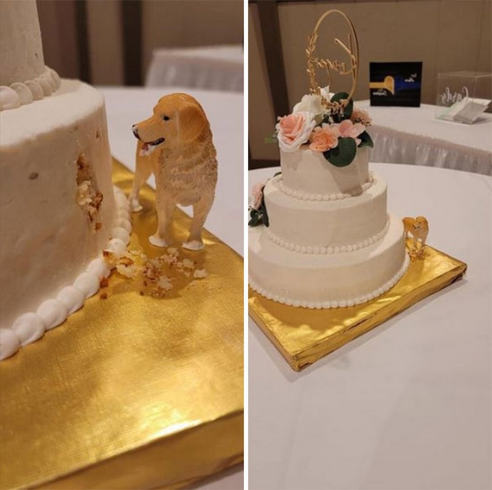 Voici les gâteaux de mariage les plus créatifs de tous les temps