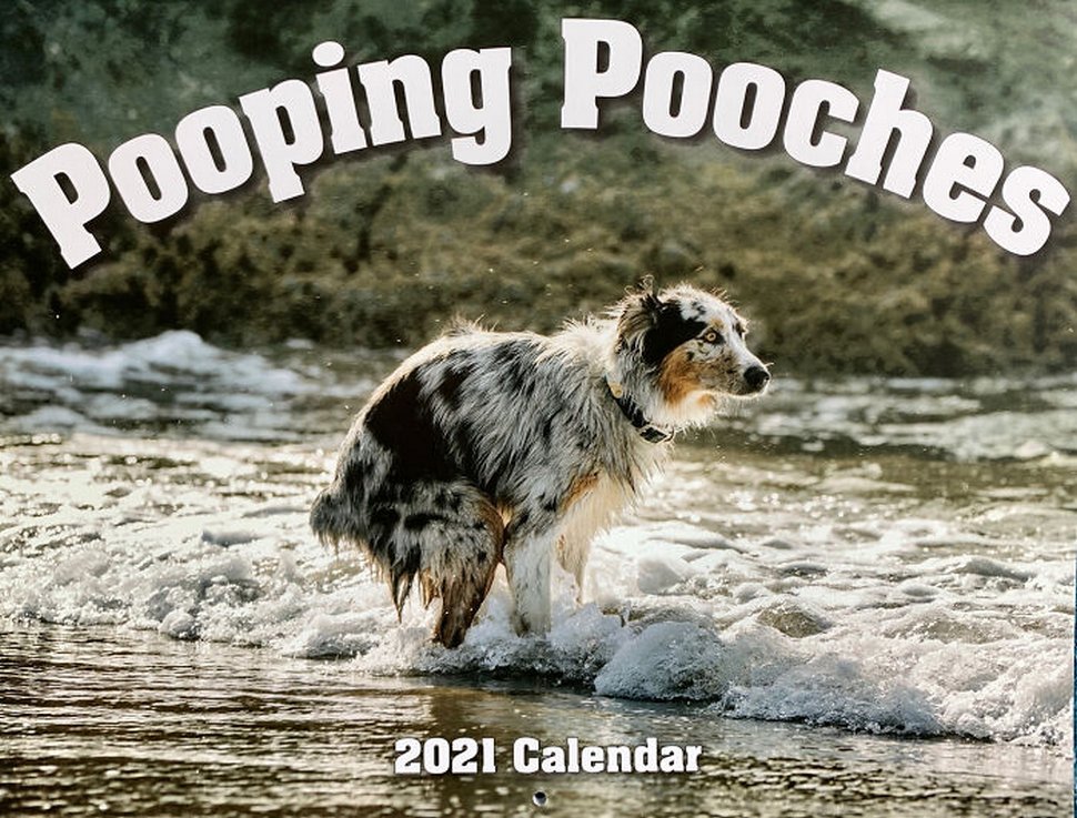 Le calendrier des chiens qui font caca 2021 est enfin arrivé et l’édition de cette année comprend même un puzzle
