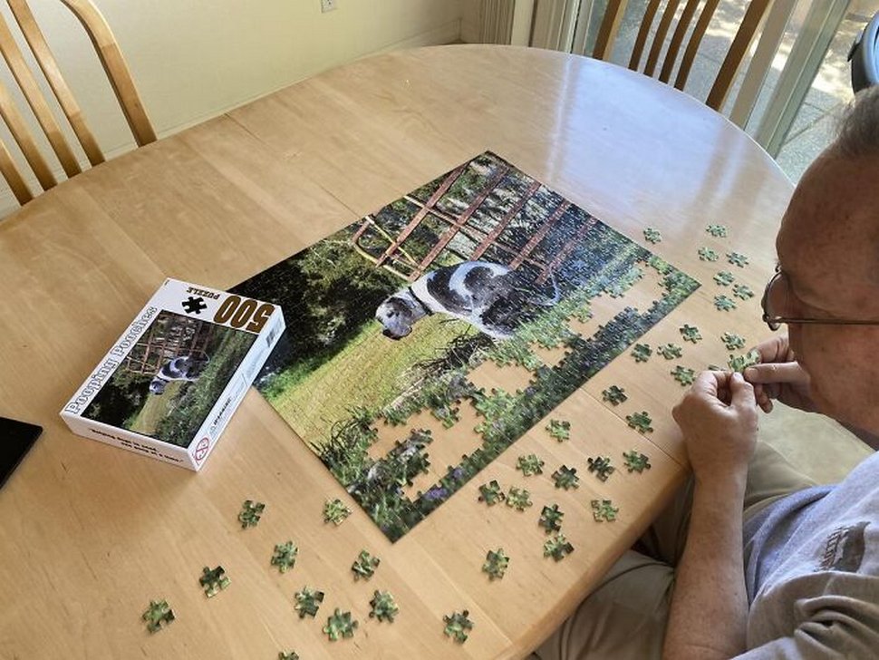 Le calendrier des chiens qui font caca 2021 est enfin arrivé et l’édition de cette année comprend même un puzzle