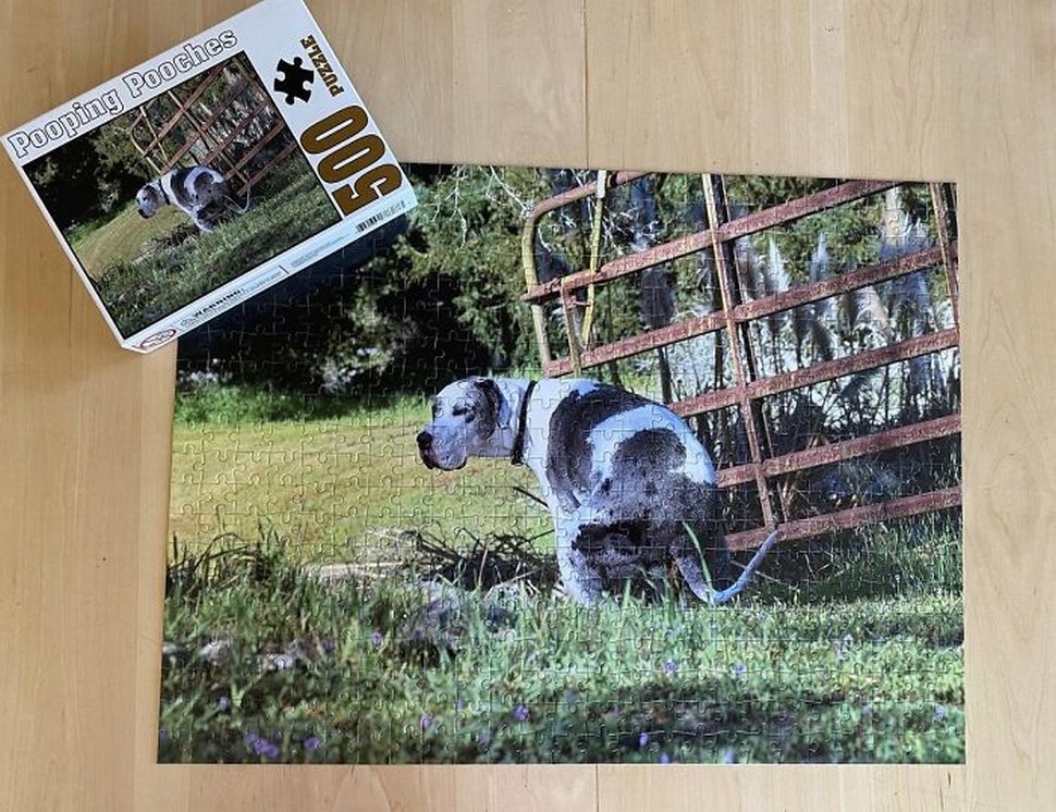 Le calendrier des chiens qui font caca 2021 est enfin arrivé et l’édition de cette année comprend même un puzzle