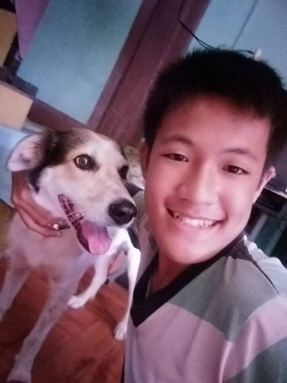 Ce chien qui avait disparu pendant des mois s’est mis à pleurer quand son propriétaire l’a enfin retrouvé