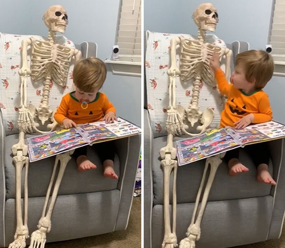Un jeune enfant se lie d’amitié avec un squelette effrayant que ses parents ont obtenu comme décoration d’Halloween