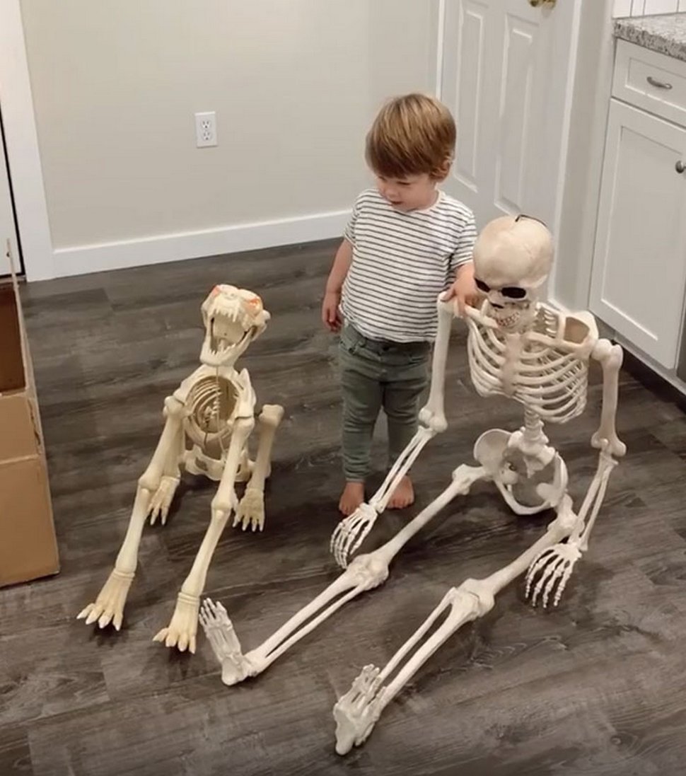 Un jeune enfant se lie d’amitié avec un squelette effrayant que ses parents ont obtenu comme décoration d’Halloween