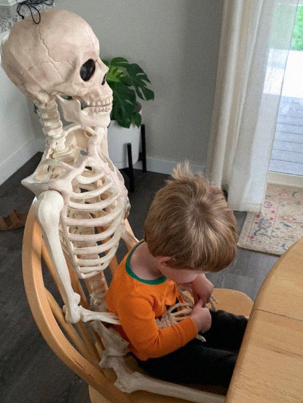 Un jeune enfant se lie d’amitié avec un squelette effrayant que ses parents ont obtenu comme décoration d’Halloween