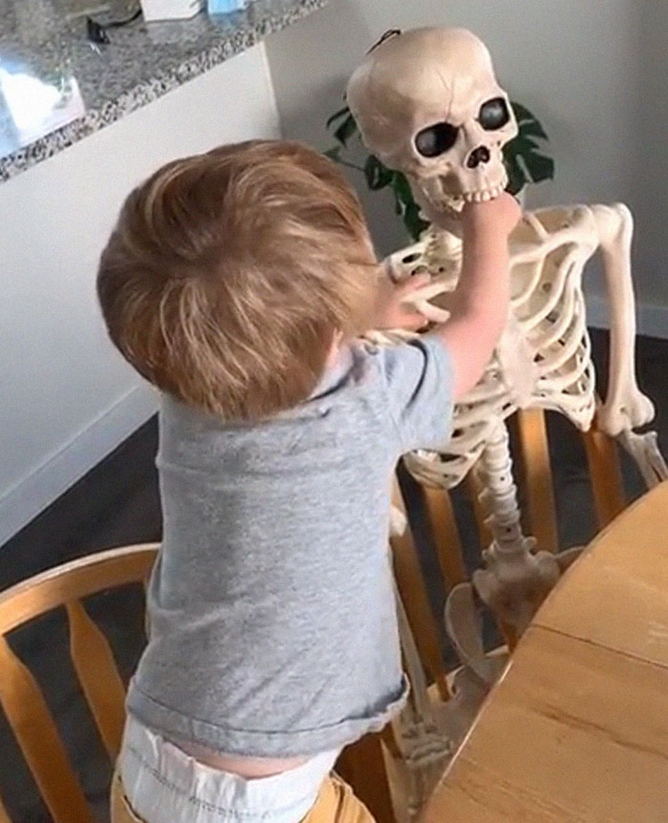 Un jeune enfant se lie d’amitié avec un squelette effrayant que ses parents ont obtenu comme décoration d’Halloween