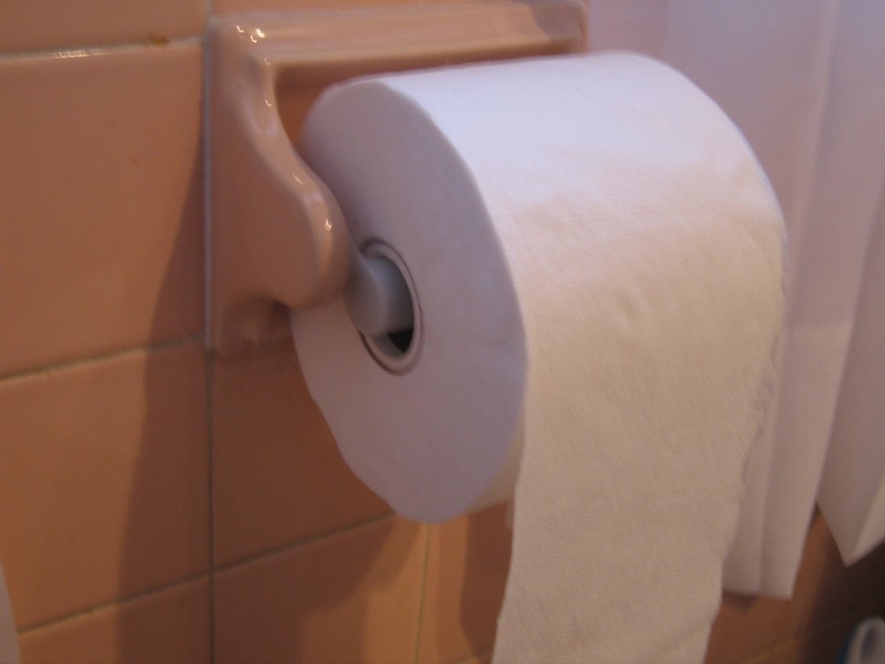 Une femme est dégoûtée après avoir découvert que son petit ami refuse d’utiliser du papier toilette