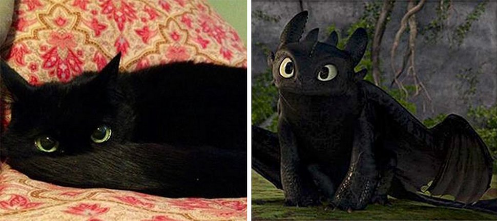 Ces personnes ressemblent exactement à des personnages de dessins animés