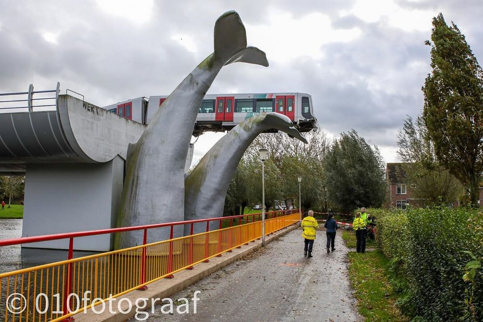 Un train fracasse une barrière et se pose sur une sculpture de baleine géante aux Pays-Bas